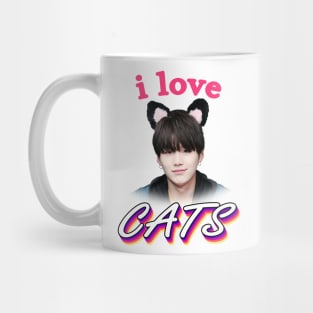 i love cats aka yoongi suga agustd Mug